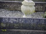 image of grave number 914439